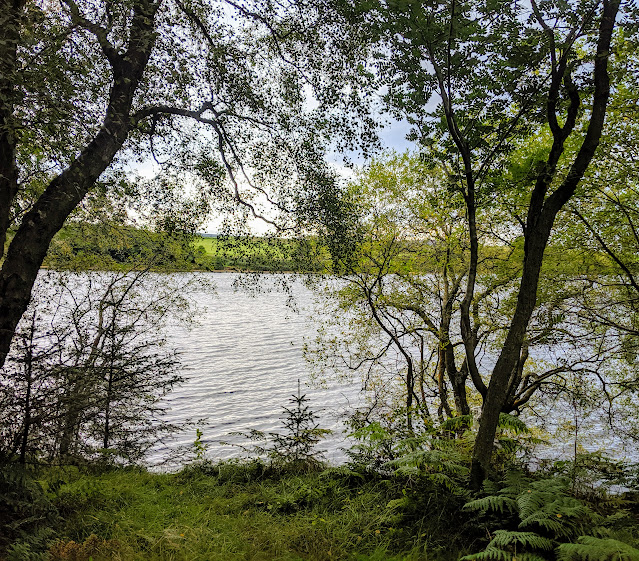 Fontburn Reservoir | Family Walk & Play Park