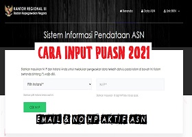 Cara Input PUASN ASN 2021 Sistem Informasi Data Email ASN