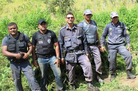 A CAPITAL DA MACONHA NO MARANHÃO 