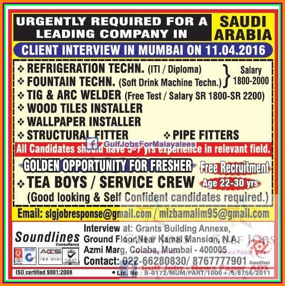 Free job recruitment, Golden job opportunity