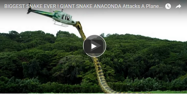 BIGGEST SNAKE EVER !  GIANT SNAKE ANACONDA  Attacks A Plane Caught  On Camera 