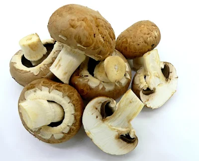 https://www.amazon.es/gp/search/ref=a9_sc_1?rh=i%3Aaps%2Ck%3Amaitake+reishi+shitake&keywords=maitake+reishi+shitake&ie=UTF8&qid=1520663037&_encoding=UTF8&tag=tuheralobieen-21&linkCode=ur2&linkId=0ac1dcab9d705aaa9c658188ca734171&camp=3638&creative=24630