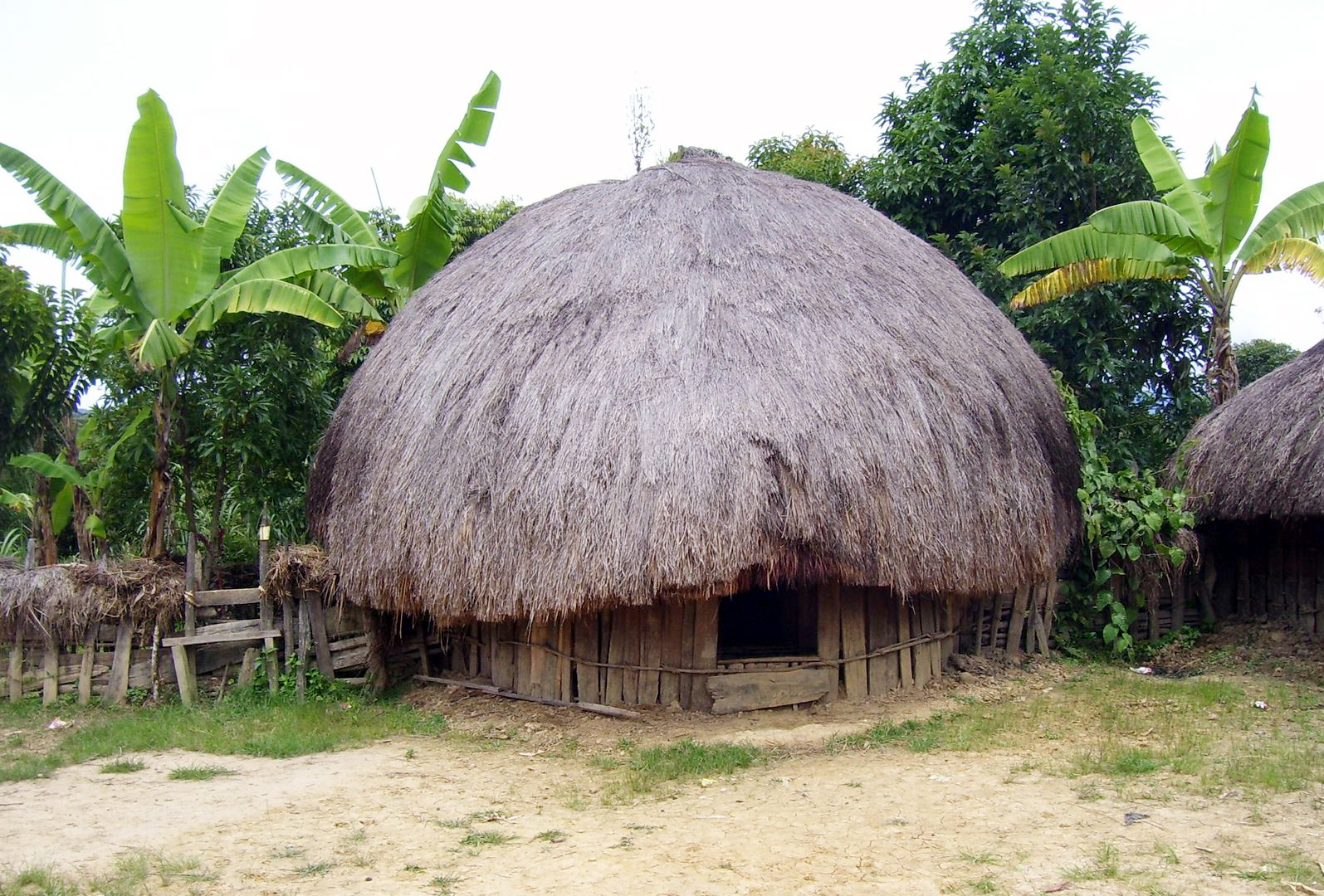 Rumah Adat 34 Provinsi di Indonesia - ALbantani