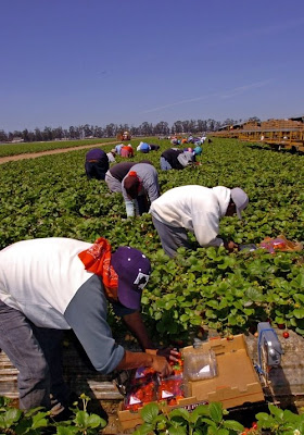 Guía Migratoria para Funes (III)