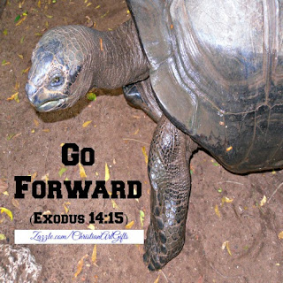 Go forward Exodus 14:15