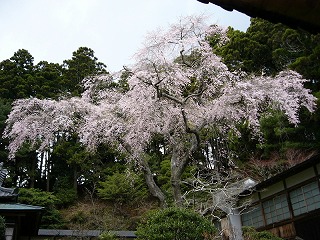 P1020433jpg