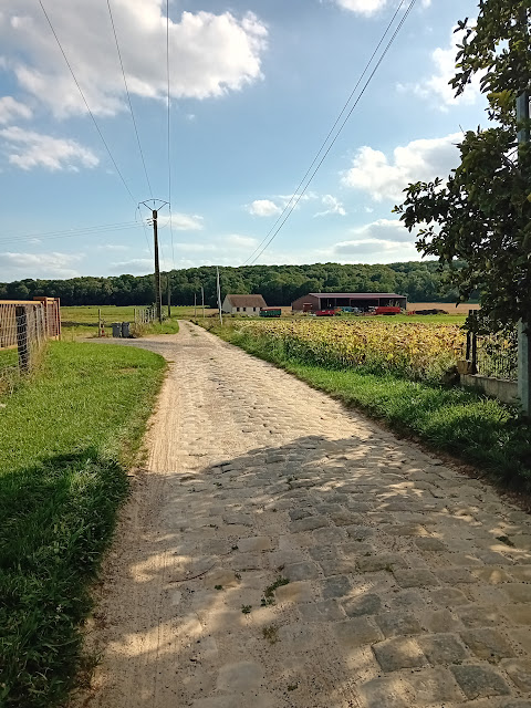 [CR] Mission Brigade de la Chocolatine IDF, de la Seine à la Loire, jour 1. Mardi 22 août 2023 20230822_175200