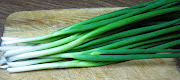 LA CASA E IL GIARDINO: It's SpringAsparagus have sprung in my garden