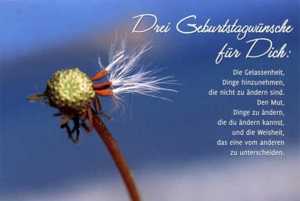 Lustige Geburtstagswünsche | Sprüche | Geburtstagssprüche ...