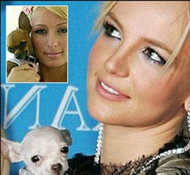 No Puppy Love For Britney Spears