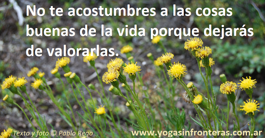 No te acostumbres