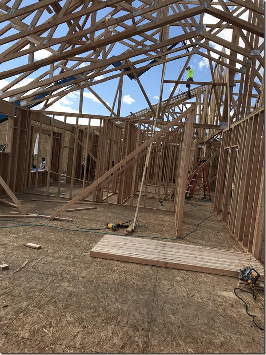 Rafter Timbers
