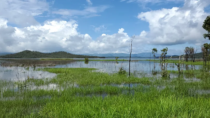 View of the Mareeba Flats/Wetlands