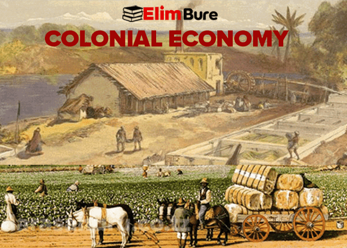 COLONIAL ECONOMY IN AFRICA