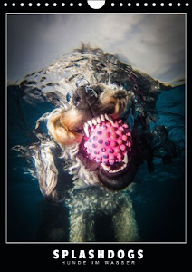 Splashdogs - Hunde im Wasser (Wandkalender 2014 DIN A4 hoch): Faszinierende Unterwasserfotografien von Hunden (Monatskalender, 14 Seiten)