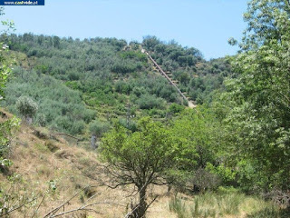 de Castelo de Vide / Portalegre (Alto Alentejo), Portugal (Fish / Pesca)