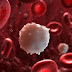 The blood of malaria parasites to develop new technologies