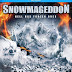 Snowmageddon 2011 DVDRip