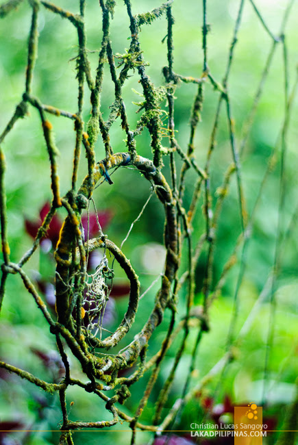 Giant Dreamcatcher at Baguio's Tam-Awan Village