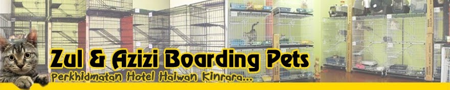 Zul n Azizi Boarding Pets: Punca & Simptom Cirit Birit 