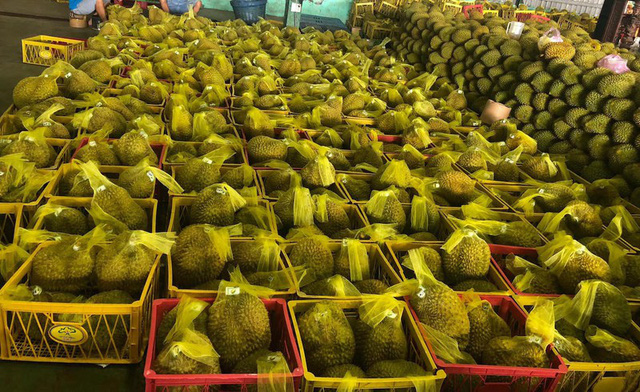 Hoa quả Việt xuất sang Trung Quốc <a href=