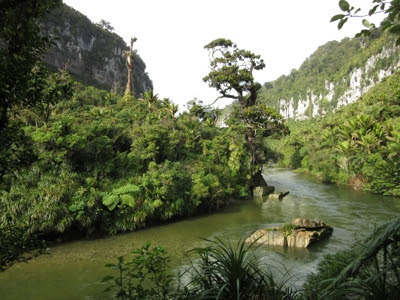 Pororari River Track, Parque Nacional Paparoa