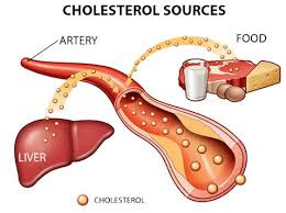 Mengenal Kolesterol Lebih Dalam