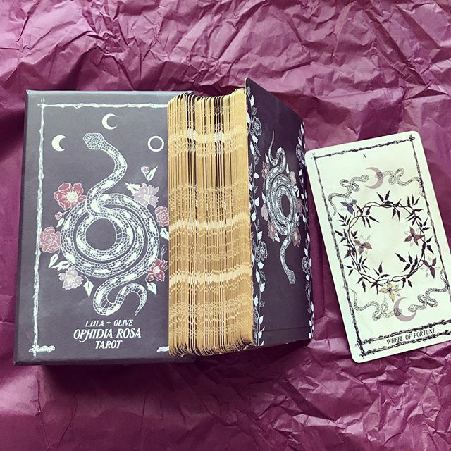 Ophidia Rosa Tarot 