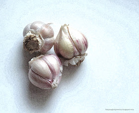 Garlic by Jessica Barst