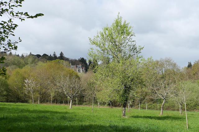 Verger conservatoire de Saint-Just