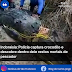 Indonésia: Polícia captura crocodilo e descobre dentro dele restos mortais de pescador 