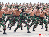 Penghargaan PBB Untuk TNI