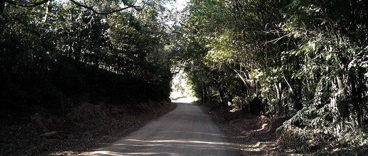 lenda, história de terror, fantasmas, pacto demônio, vargem grande do sul, bosque, floresta, assombração, aparição