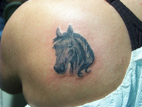 Horse Tattoo Designs