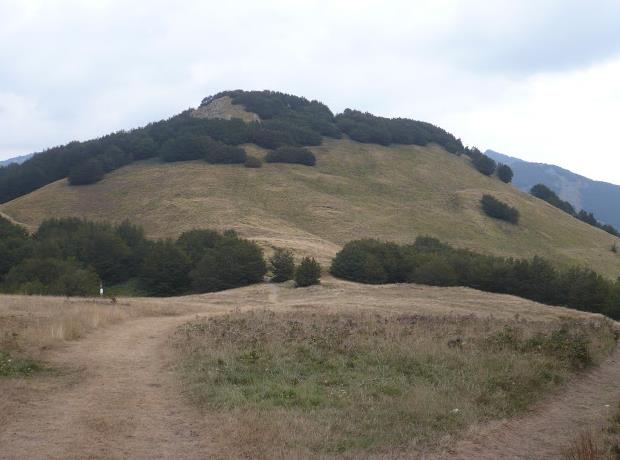 Appennino tosco-emiliano: passo ospedalaccio