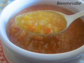 Sopa jardinera 01