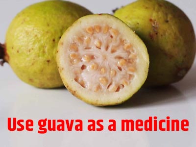 guava for health