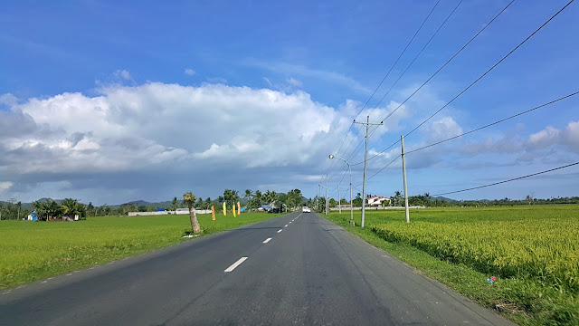 ricefields outside of Alangalang Leyte