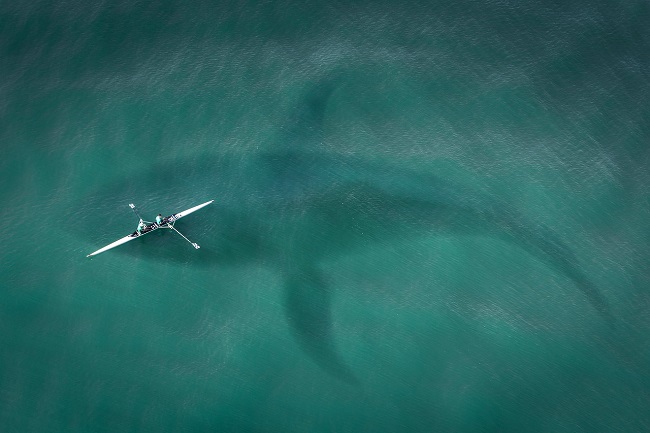 ocean kayaking