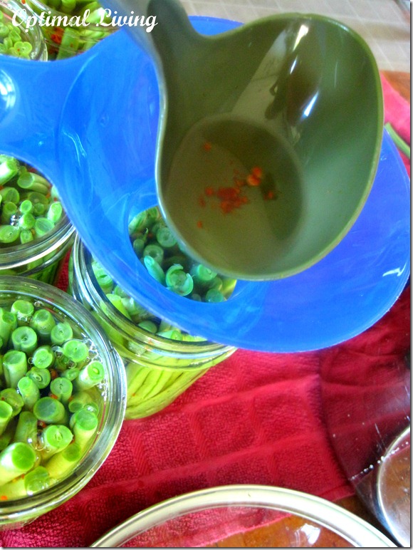 Dilly Beans 11