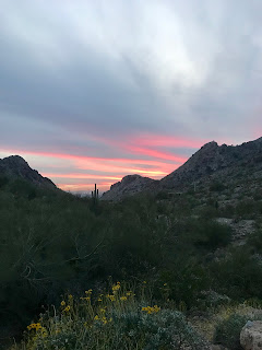 Sunset photo in Phoenix with mountains and flowers