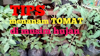 www.dwisangpetani.com