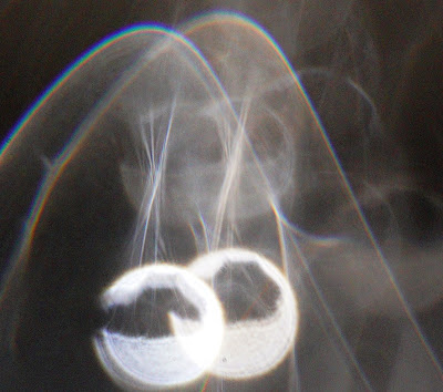 hill-shaped orb veil