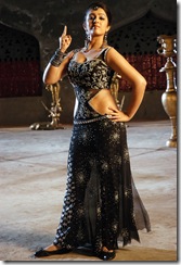 charmi-high-quality26