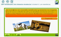 http://www.primaria.librosvivos.net/2epcmcp_ud5_a1_cas_LosMamiferos_26.html