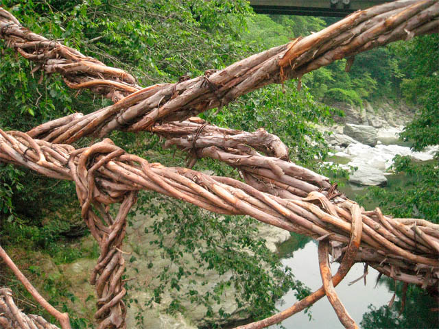 Jembatan Akar Terunik Di Dunia [ www.BlogApaAja.com ]