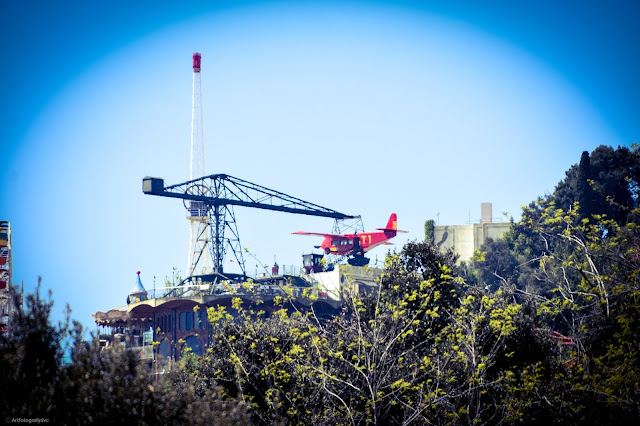 Sierra de Collserola (Barcelona, Cataluña, España)