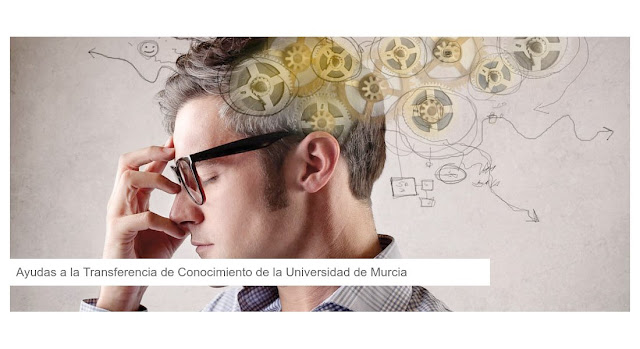 Ayudas a la Transferencia de Conocimiento de la Universidad de Murcia.