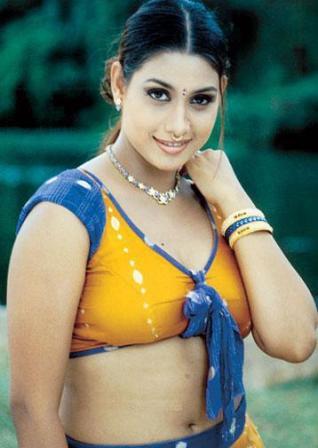 Sexy_Stylish_South_Actresses_Photos9.jpg (318×448)