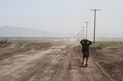 Trying to botanize in a 50 mph gusts of dirt and sand